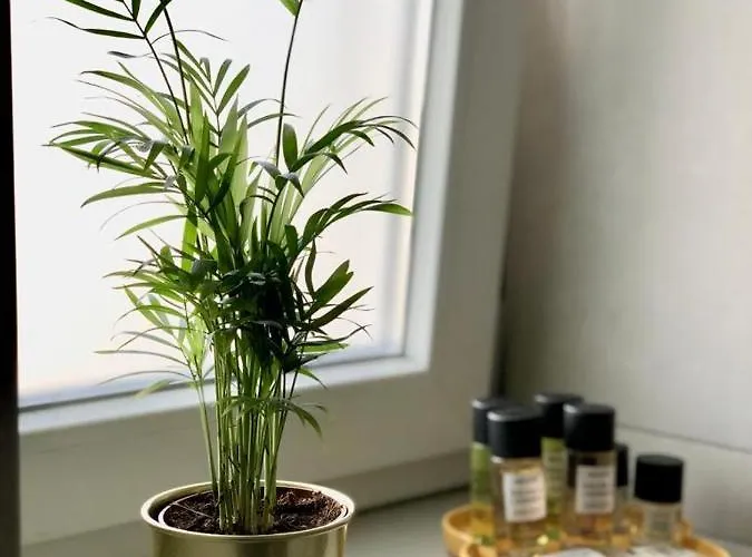 Laus Via Sparano App.2- Lux & Design New! Appartement *