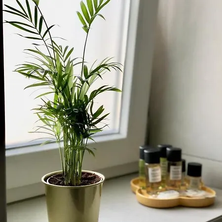 Laus Via Sparano App.2- Lux & Design New! Apartman *